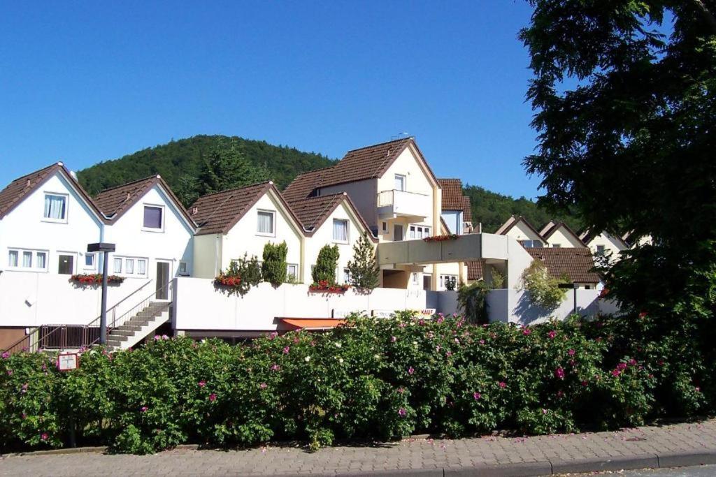 Gemutliche 93M2Fewo Mit 2 Schlafzimmern Und Seitlichem Seeblick Vom Balkon Scheid  Extérieur photo